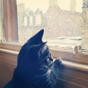 Athena sees the snow