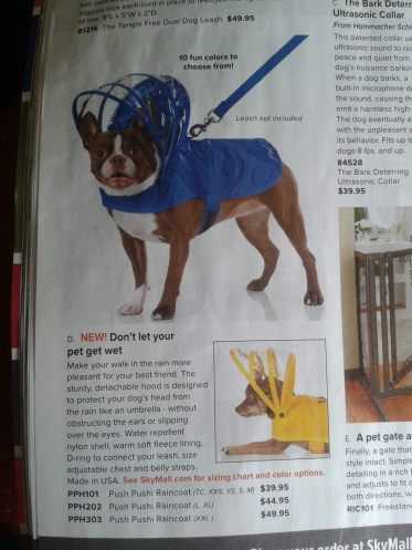 A raincoat and hood for a dog